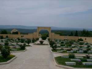 57 ALAY ŞEHİTLİĞİ