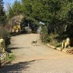 Düzce, Akçakoca