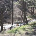 ankarakazalcahamam001-031
