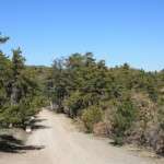 ankarakazalcahamam001-043