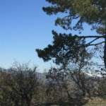 ankarakazalcahamam001-044