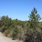 ankarakazalcahamam001-047