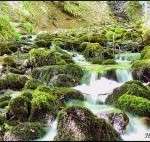 yedigoller3