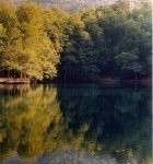 yedigoller4