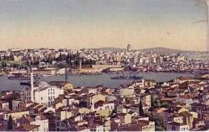 halic1