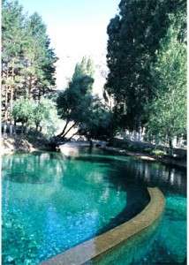 Konya