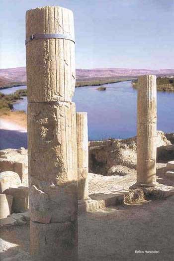 zeugma.1
