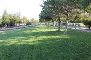 Ankara İncek Ahlatlıbel Atatürk Parkı