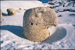 kartal kafası heykeli.2