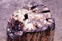 midilli.batı güzergahı.2