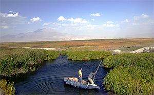 k.sultan sazlığı.1