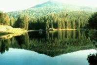 ayancık.çangal dağı.1