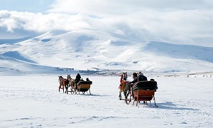 Ardahan Çıldır