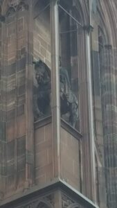 2018.01.26-2-Strazburg.11.Katedral.4.Dış.2