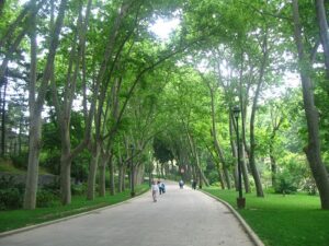 İstanbul Gülhane Parkı