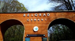 İstanbul Belgrad Ormanı