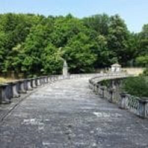 belgrad ormanı.genel.2