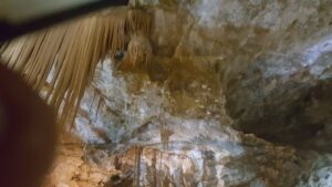 2017.07.17-3.Torul.Karaca mağarası.4b