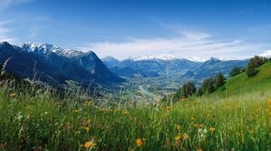 kraliyet yürüyüş yolu.1