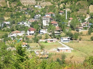 Kilis Musabeyli