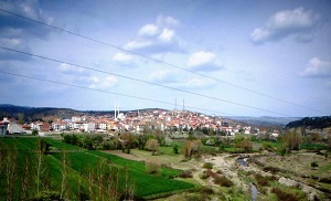 Bursa Harmancık