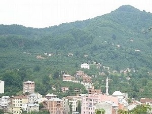 Giresun Güce