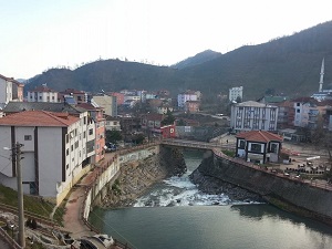 Ordu İkizce