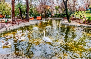 Ankara Kuğulu Park