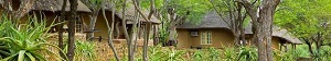 Güney Afrika Kuruger Milli Parkı